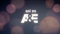 Ver demos de A&E - PRODU