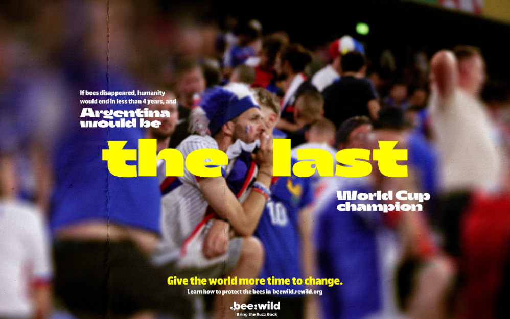 Campaña ganadora de Young Lions 2025 por Sancho BBDO Colombia