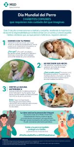 lomitos, perros, dia del perro, mascotas