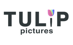 La agencia WOOHOO (antes Grupo LVT) es la encargada de modernizarla identidad visual. El nuevo logotipo conserva el icónico tulipán, ahora con cuatro pétalos. En colores vibrantes y transparencias, evocan el paso de la luz a través de un prisma y la apertura de una lente cinematográfica. La paleta cromática —azul, turquesa, amarillo y magenta— refuerza la noción de movimiento y transición, elementos fundamentales en el lenguaje audiovisual.