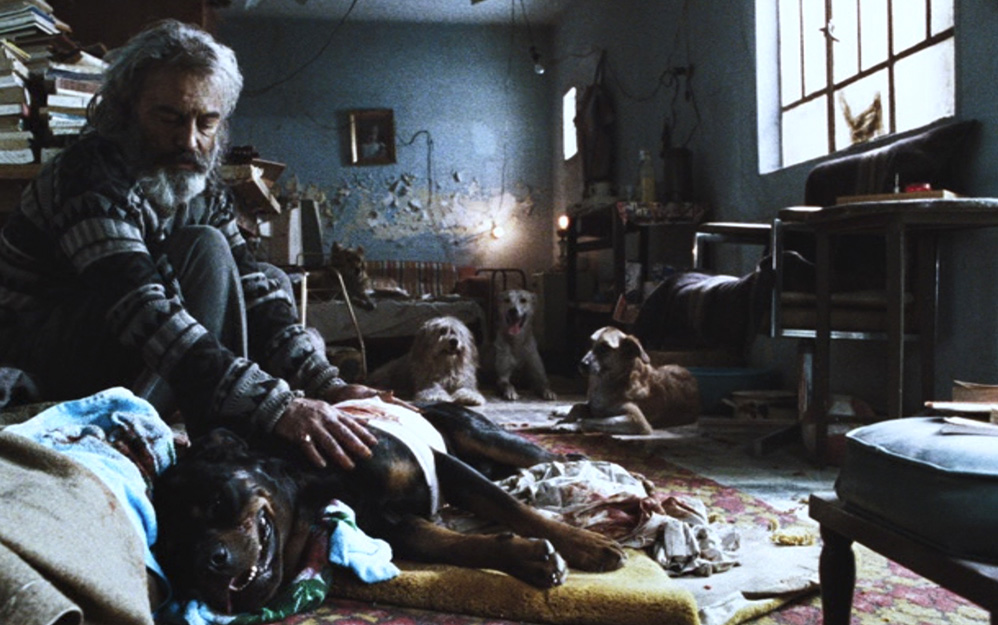 Amores perros, la ópera prima del cineasta mexicano Alejandro G. Iñárritu, tendrá su reestreno remasterizado en cines de México este 9 de octubre y su llegada a la plataforma a partir del 24 de octubre.