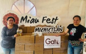 Michifem Miau Fest grisi