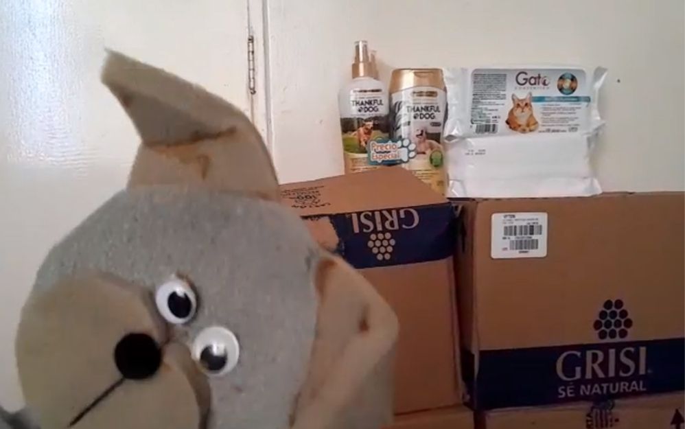 Grisi, Miau Fest, MichiFem