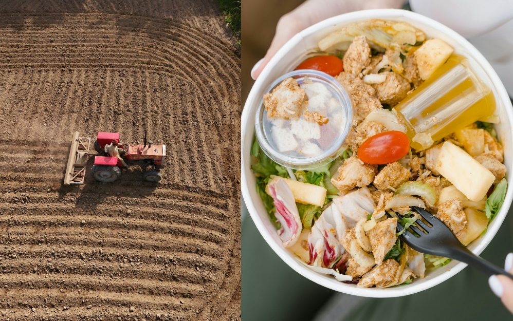 Lo que el cine muestra también educa: reflejar buenas prácticas alimentarias y apostar por un catering realmente sostenible puede cambiar hábitos dentro y fuera del set.