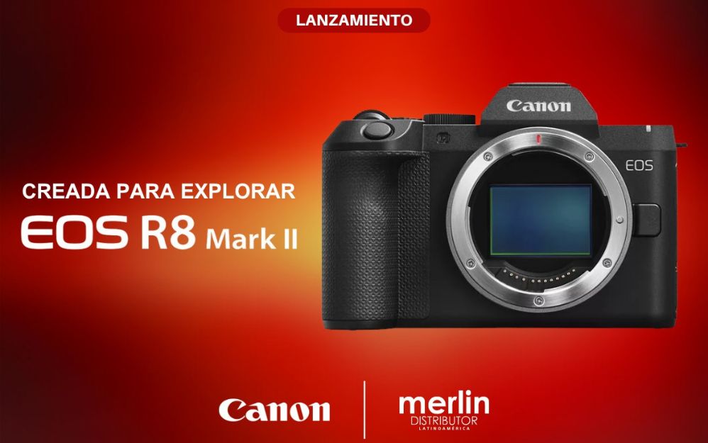 El corazón del sistema es un sensor CMOS Full-Frame de 24,2 megapíxeles que permite la grabación de video 4K a 60p con sobremuestreo a partir de 6K y Full HD a 180p sin recorte