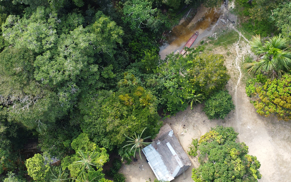 La Amazonía, no es solamente un paisaje extraordinario, es un ecosistema vivo, un territorio de enorme biodiversidad y el hogar de comunidades que viven en armonía con la naturaleza.